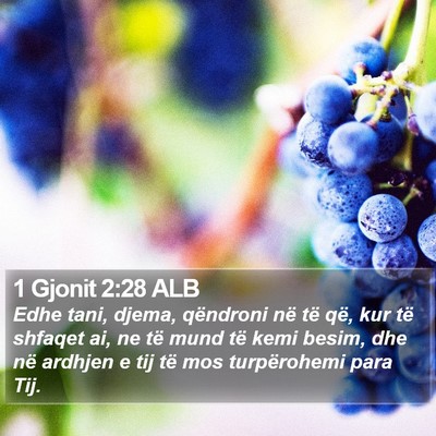 1 Gjonit 2:28 ALB Bible Verse Image