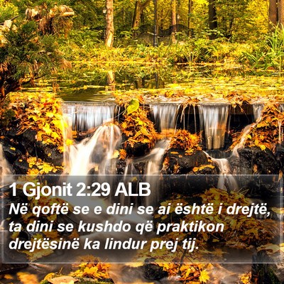 1 Gjonit 2:29 ALB Bible Verse Image