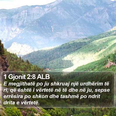 1 Gjonit 2:8 ALB Bible Verse Image