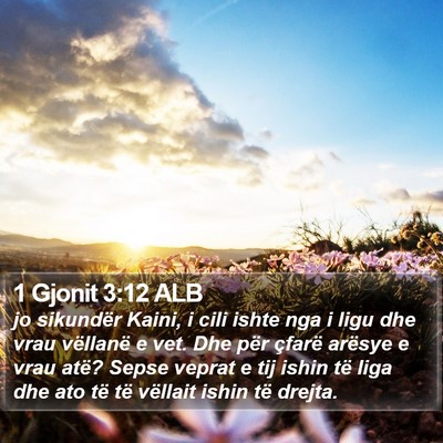 1 Gjonit 3:12 ALB Bible Verse Image