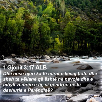 1 Gjonit 3:17 ALB Bible Verse Image