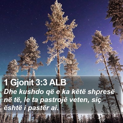 1 Gjonit 3:3 ALB Bible Verse Image