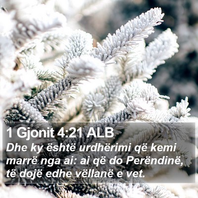 1 Gjonit 4:21 ALB Bible Verse Image