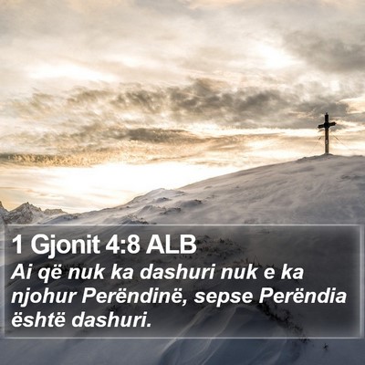1 Gjonit 4:8 ALB Bible Verse Image