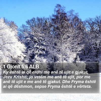 1 Gjonit 5:6 ALB Bible Verse Image