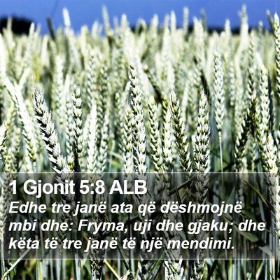 1 Gjonit 5:8 ALB Bible Verse Image