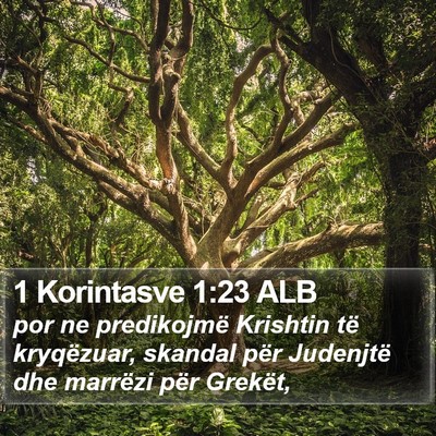 1 Korintasve 1:23 ALB Bible Verse Image
