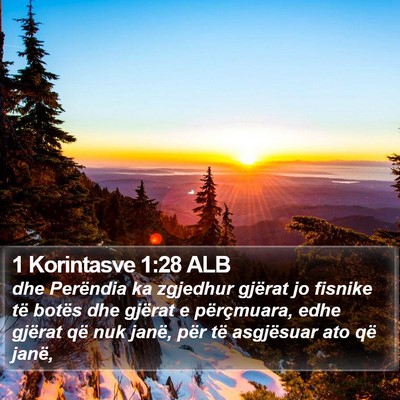 1 Korintasve 1:28 ALB Bible Verse Image