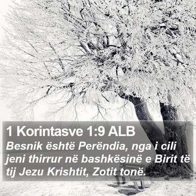 1 Korintasve 1:9 ALB Bible Verse Image