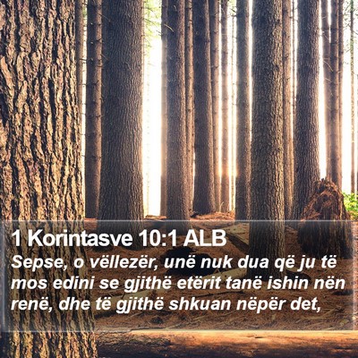 1 Korintasve 10:1 ALB Bible Verse Image