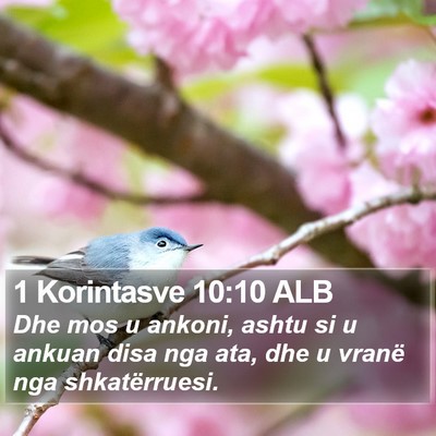 1 Korintasve 10:10 ALB Bible Verse Image