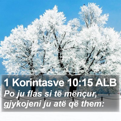 1 Korintasve 10:15 ALB Bible Verse Image