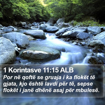 1 Korintasve 11:15 ALB Bible Verse Image