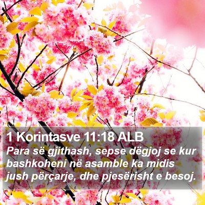 1 Korintasve 11:18 ALB Bible Verse Image