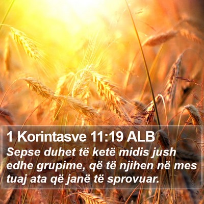 1 Korintasve 11:19 ALB Bible Verse Image
