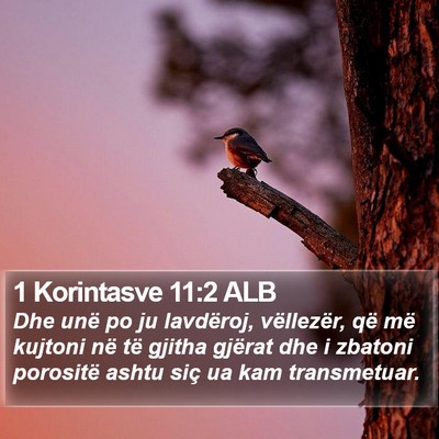 1 Korintasve 11:2 ALB Bible Verse Image