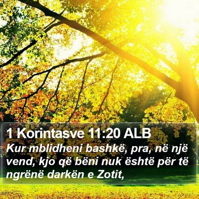 1 Korintasve 11:20 ALB Bible Verse Image
