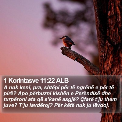1 Korintasve 11:22 ALB Bible Verse Image