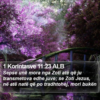 1 Korintasve 11:23 ALB Bible Verse Image