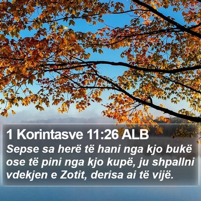 1 Korintasve 11:26 ALB Bible Verse Image