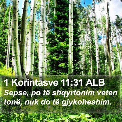 1 Korintasve 11:31 ALB Bible Verse Image