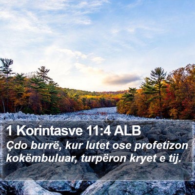 1 Korintasve 11:4 ALB Bible Verse Image