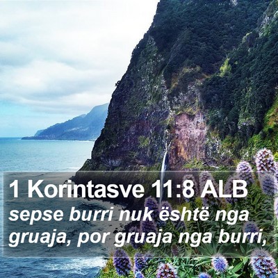 1 Korintasve 11:8 ALB Bible Verse Image