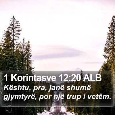 1 Korintasve 12:20 ALB Bible Verse Image