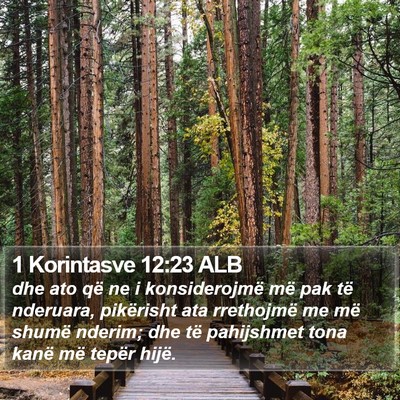 1 Korintasve 12:23 ALB Bible Verse Image