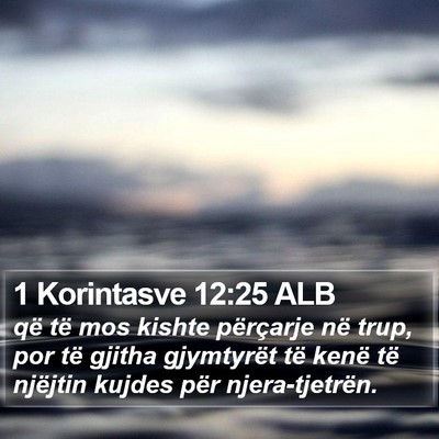 1 Korintasve 12:25 ALB Bible Verse Image