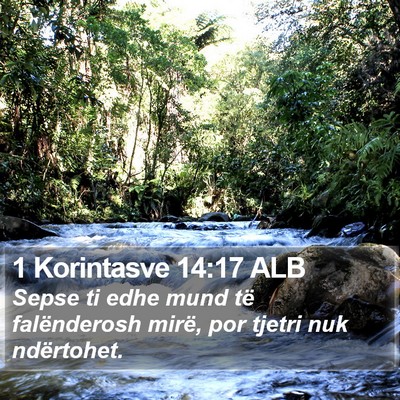 1 Korintasve 14:17 ALB Bible Verse Image