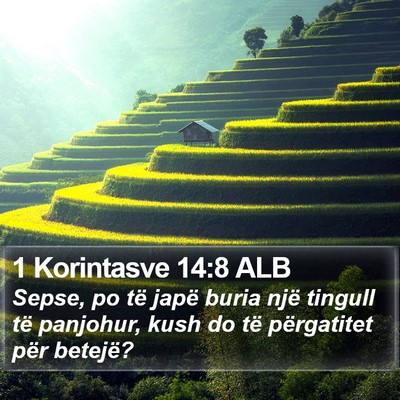 1 Korintasve 14:8 ALB Bible Verse Image
