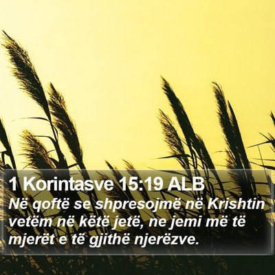 1 Korintasve 15:19 ALB Bible Verse Image