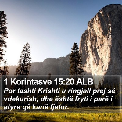 1 Korintasve 15:20 ALB Bible Verse Image