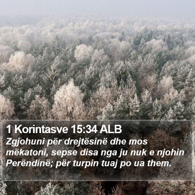 1 Korintasve 15:34 ALB Bible Verse Image