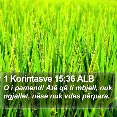 1 Korintasve 15:36 ALB Bible Verse Image