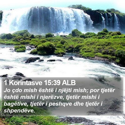 1 Korintasve 15:39 ALB Bible Verse Image