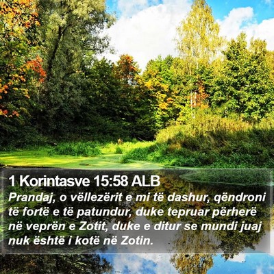 1 Korintasve 15:58 ALB Bible Verse Image
