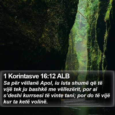 1 Korintasve 16:12 ALB Bible Verse Image