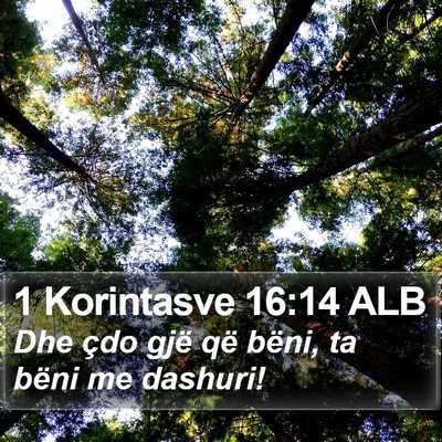 1 Korintasve 16:14 ALB Bible Verse Image