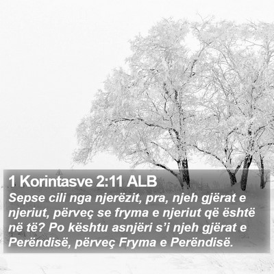 1 Korintasve 2:11 ALB Bible Verse Image