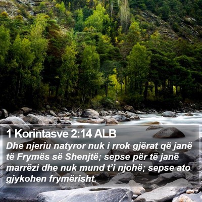 1 Korintasve 2:14 ALB Bible Verse Image