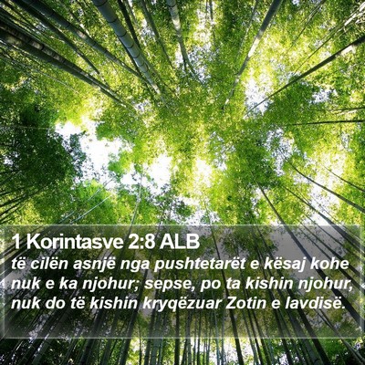 1 Korintasve 2:8 ALB Bible Verse Image