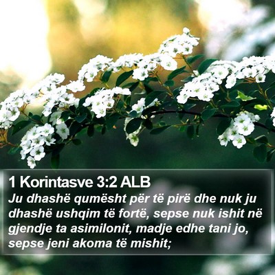 1 Korintasve 3:2 ALB Bible Verse Image