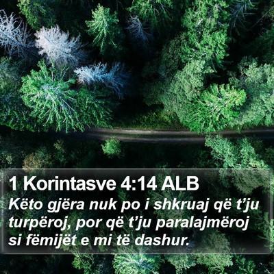 1 Korintasve 4:14 ALB Bible Verse Image