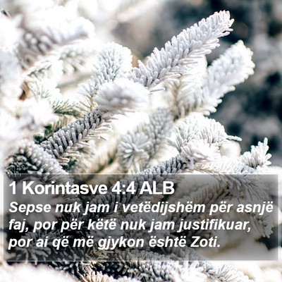 1 Korintasve 4:4 ALB Bible Verse Image