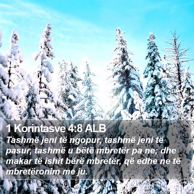 1 Korintasve 4:8 ALB Bible Verse Image