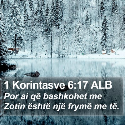 1 Korintasve 6:17 ALB Bible Verse Image