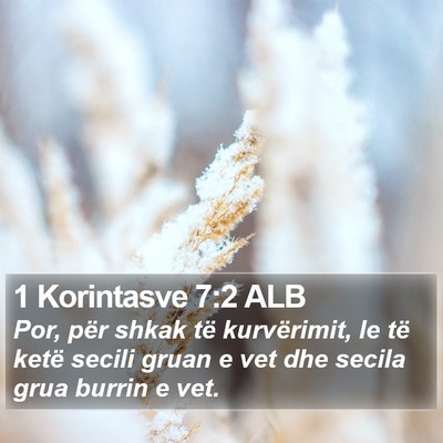 1 Korintasve 7:2 ALB Bible Verse Image