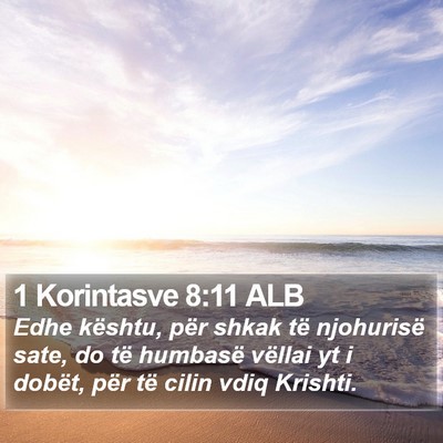 1 Korintasve 8:11 ALB Bible Verse Image
